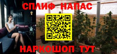 стаф Севастополь