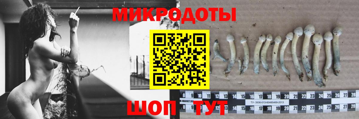 Псилоцибиновые грибы мухоморы  Псилоцибиновые грибы GOLDEN TEACHER  Ноябрьск  Вход с VPN 
